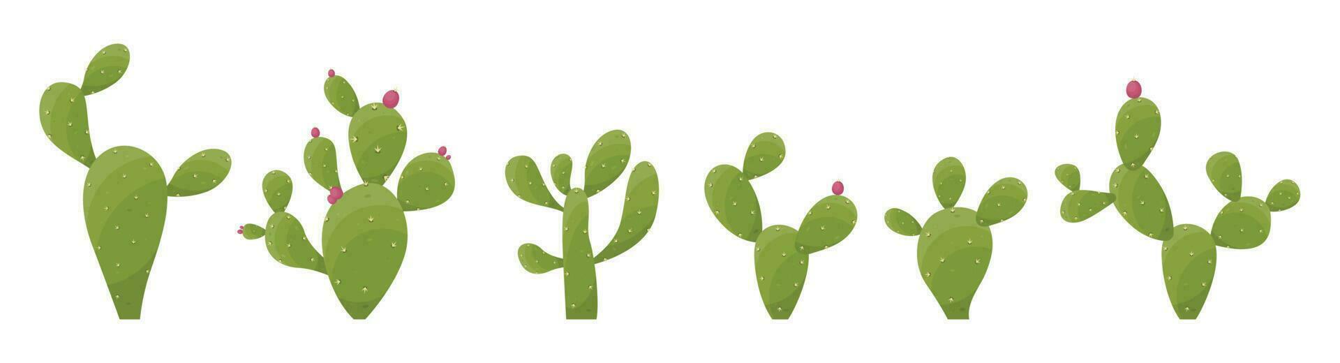 tekenfilm woestijn cactus planten geïsoleerd Aan wit. woestijn planten vector illustratie