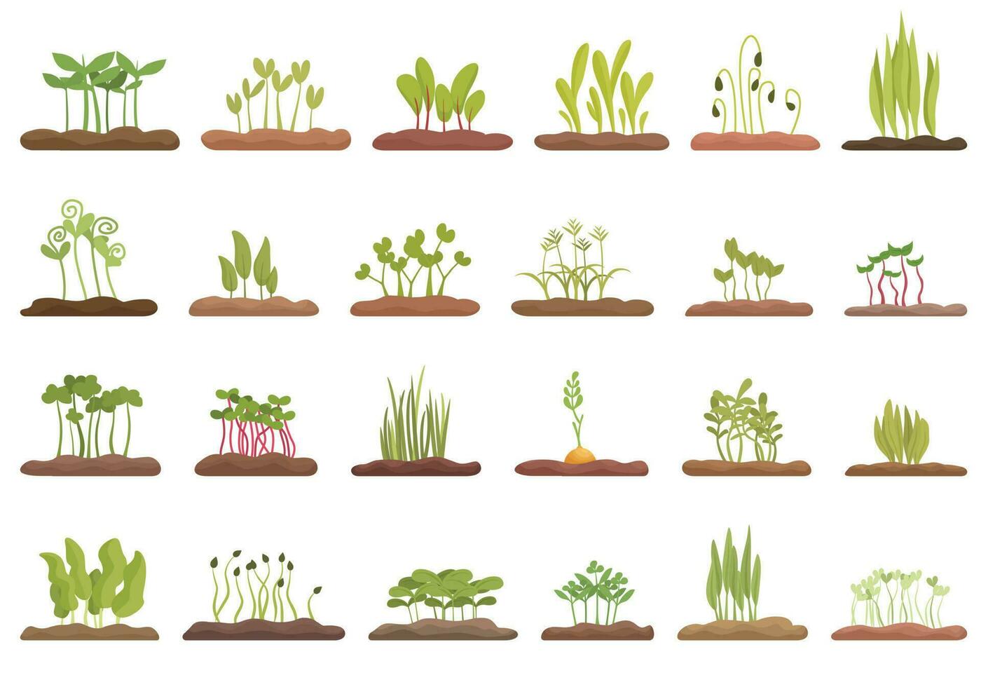 groeit microgreens pictogrammen reeks tekenfilm vector. fabriek erwt vector