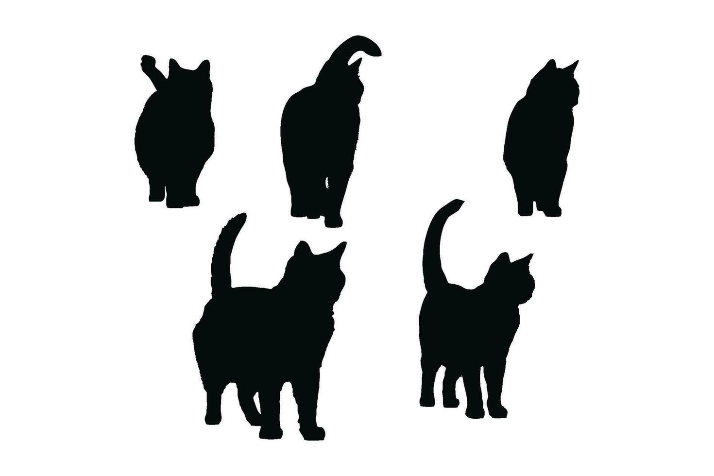 schattig katachtig voorkant kant silhouet reeks Aan een wit achtergrond. mooi huiselijk kat silhouet bundel ontwerp. kat wandelen en staand in verschillend posities. kat vol lichaam silhouet verzameling. vector