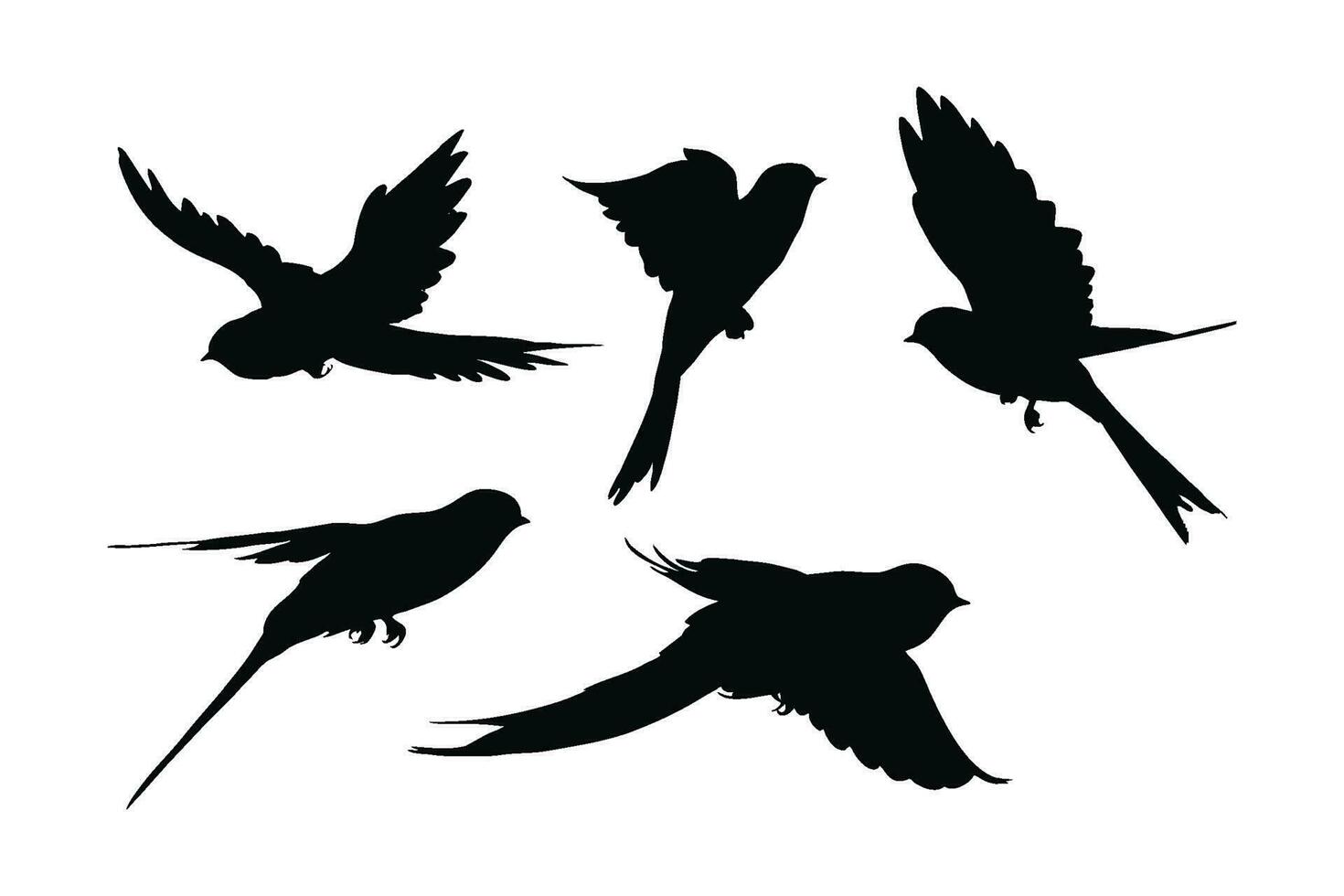 zwaluwen vliegend silhouet bundel ontwerp. wild zwaluwen vector ontwerp Aan een wit achtergrond. mooi vogel vliegend silhouet reeks vector. klein vogel in verschillend standen silhouet verzameling.