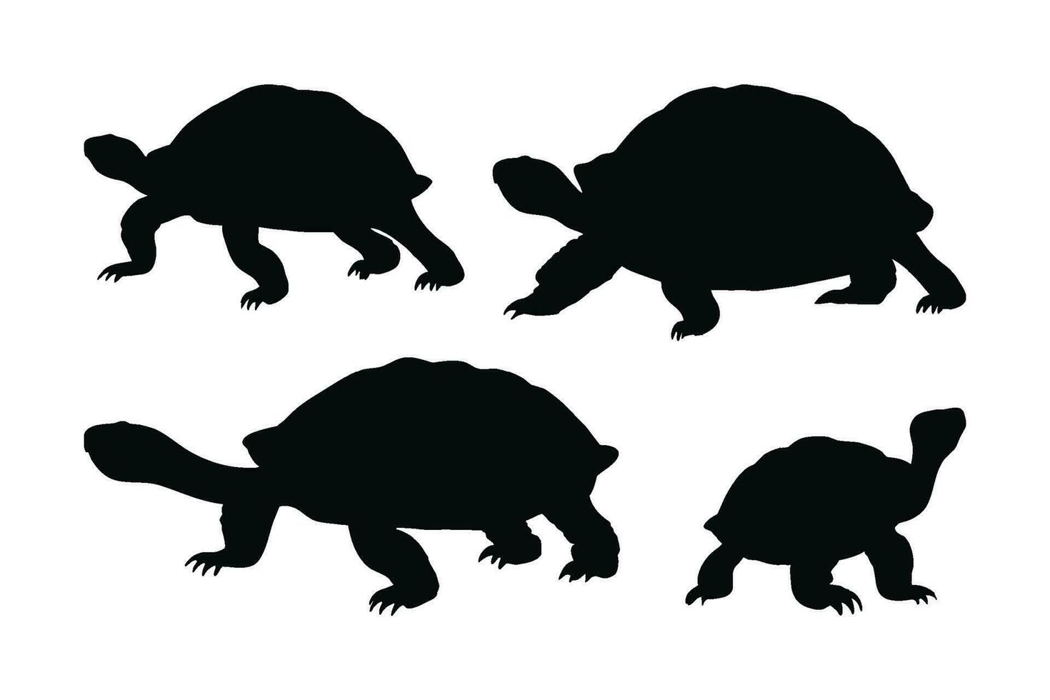 mooi schildpad wandelen en staand in verschillend posities. wild schildpadden wandelen, silhouetten Aan een wit achtergrond. schildpad vol lichaam silhouet verzameling. wild schildpad silhouet bundel. vector