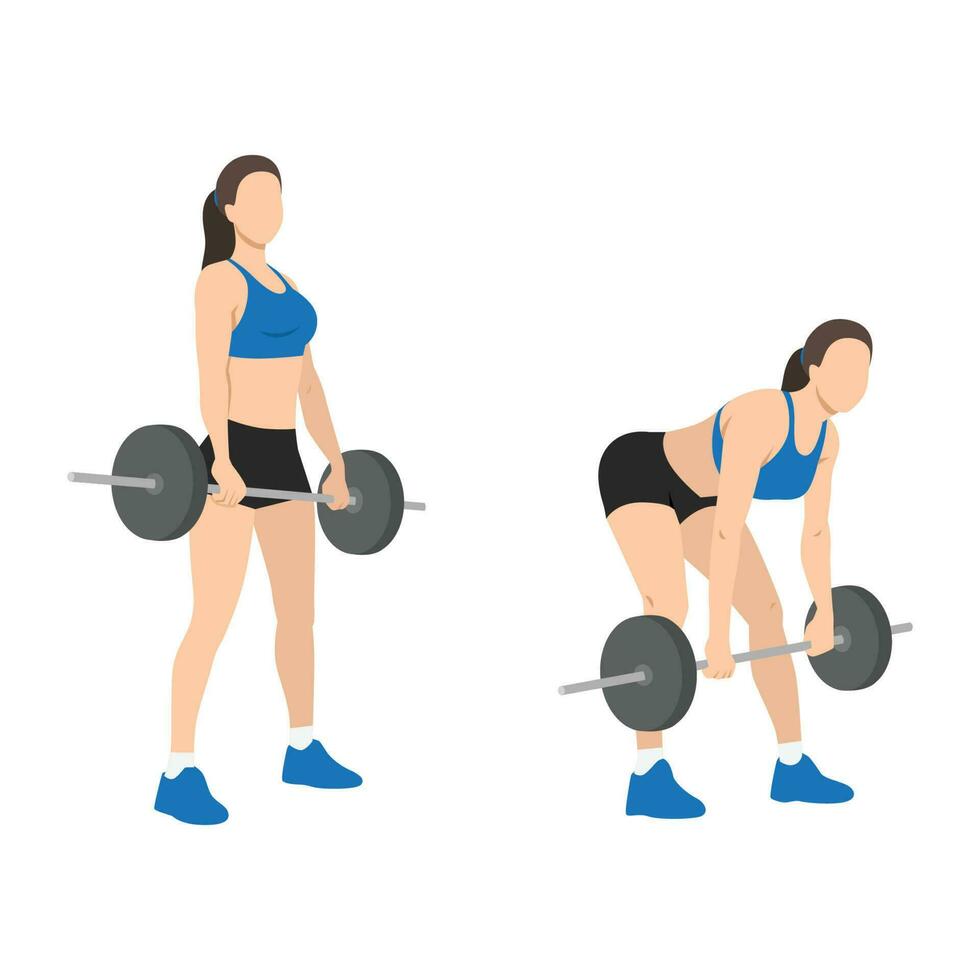 vrouw aan het doen barbell Roemeense deadlifts oefening. vector