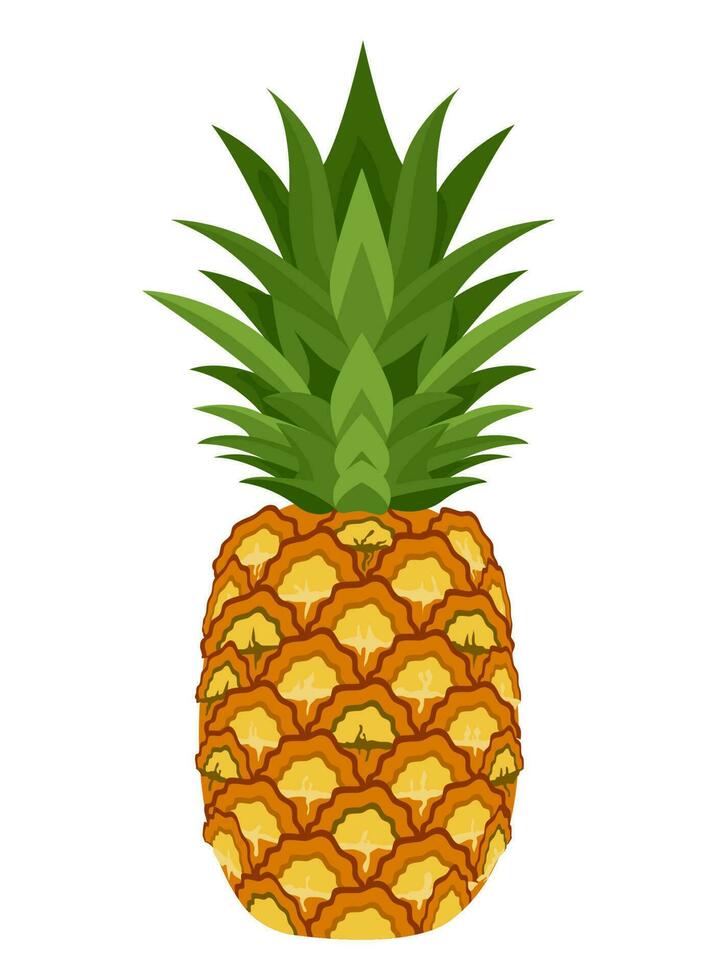 reeks van ananas geïsoleerd Aan wit achtergrond bladeren vector element. reeks van geheel, besnoeiing in voor de helft, gesneden Aan stukken