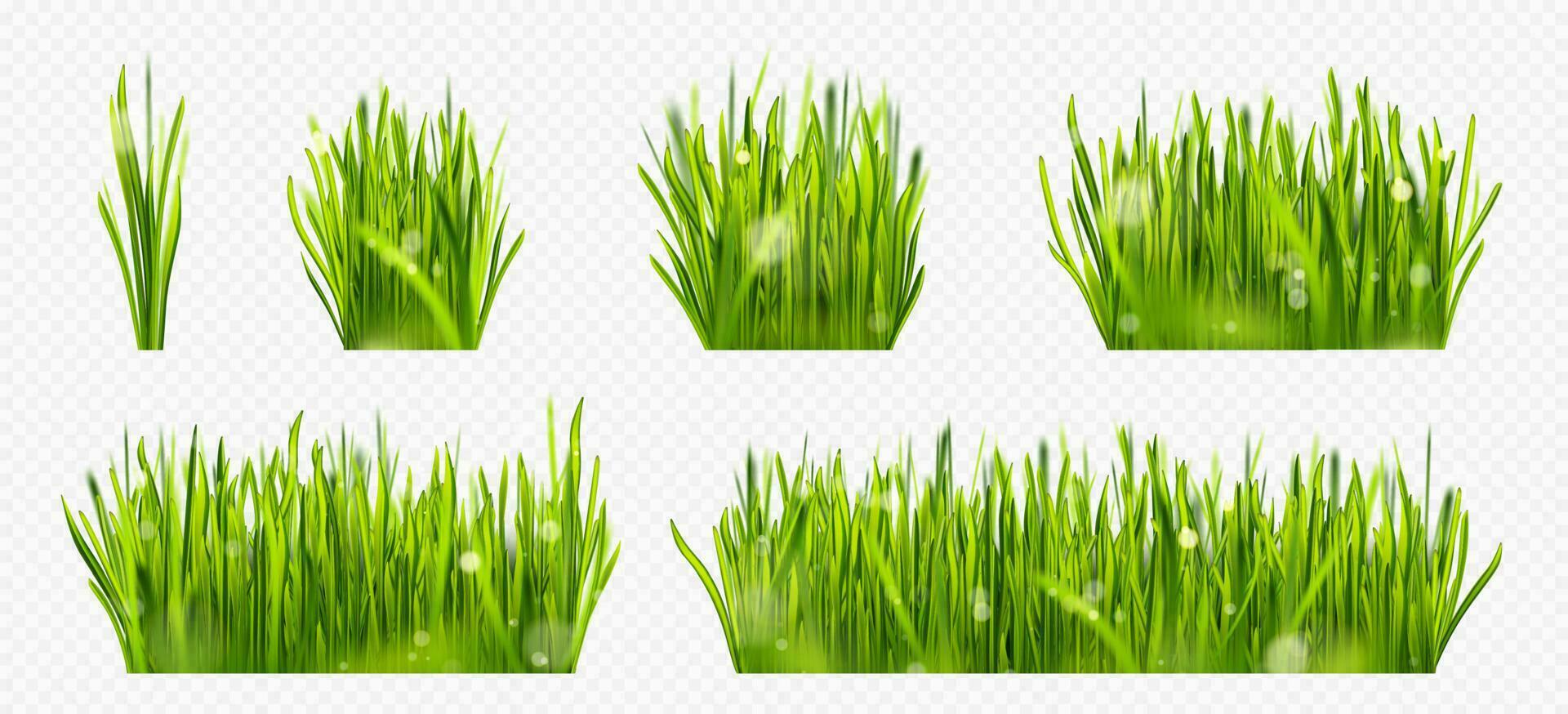 realistisch groen gazon gras grens met zon licht vector