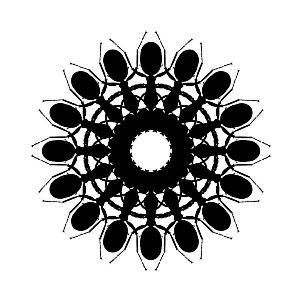 kolonie van de mier silhouet cirkel vorm samenstelling voor kunst illustratie, logo, pictogram, website, of grafisch ontwerp element. vector illustratie