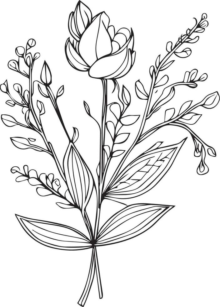botanisch artwork decor, vector reeks van botanisch blad gemakkelijk schets schetsen tekening hand- getrokken illustratie, botanisch tekeningen van bloemen, botanisch tekeningen van wilde bloemen, botanisch tekeningen.