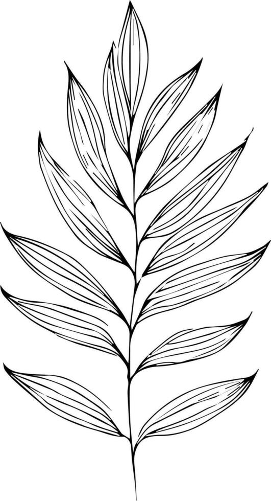 botanisch elementen vector schetsen, hand- getrokken blad lijn kunst , botanisch blad knop illustratie gegraveerde inkt kunst stijl. botanisch vector tekening. wijnoogst botanisch blad tekening.