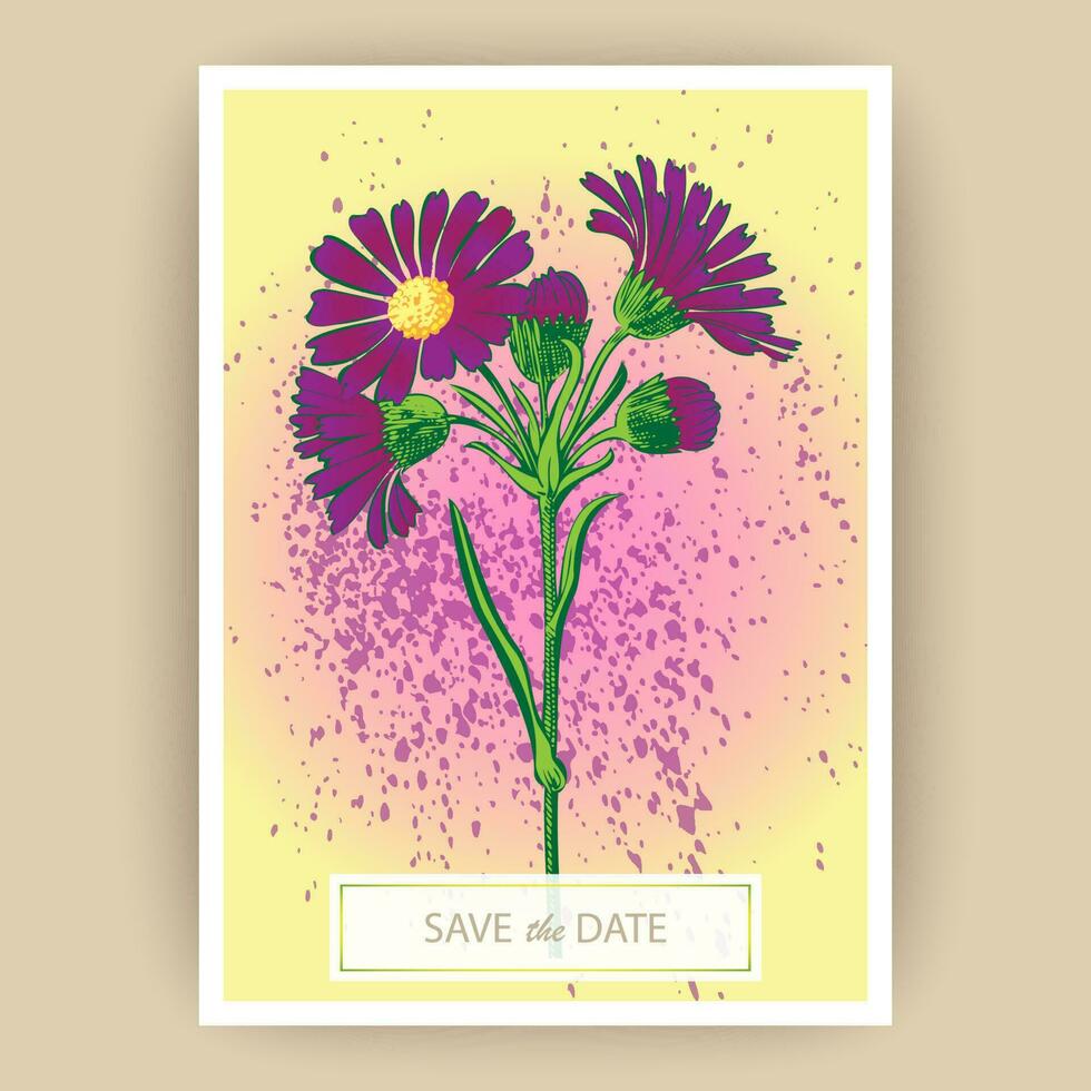 hand- getrokken detailopname chrysant bloem artistiek vector illustratie. botanisch bruiloft ornament. bloemblaadjes geschilderd in Purper. bloemen modieus patroon poster. decoratief groet kaart uitnodiging ontwerp bg