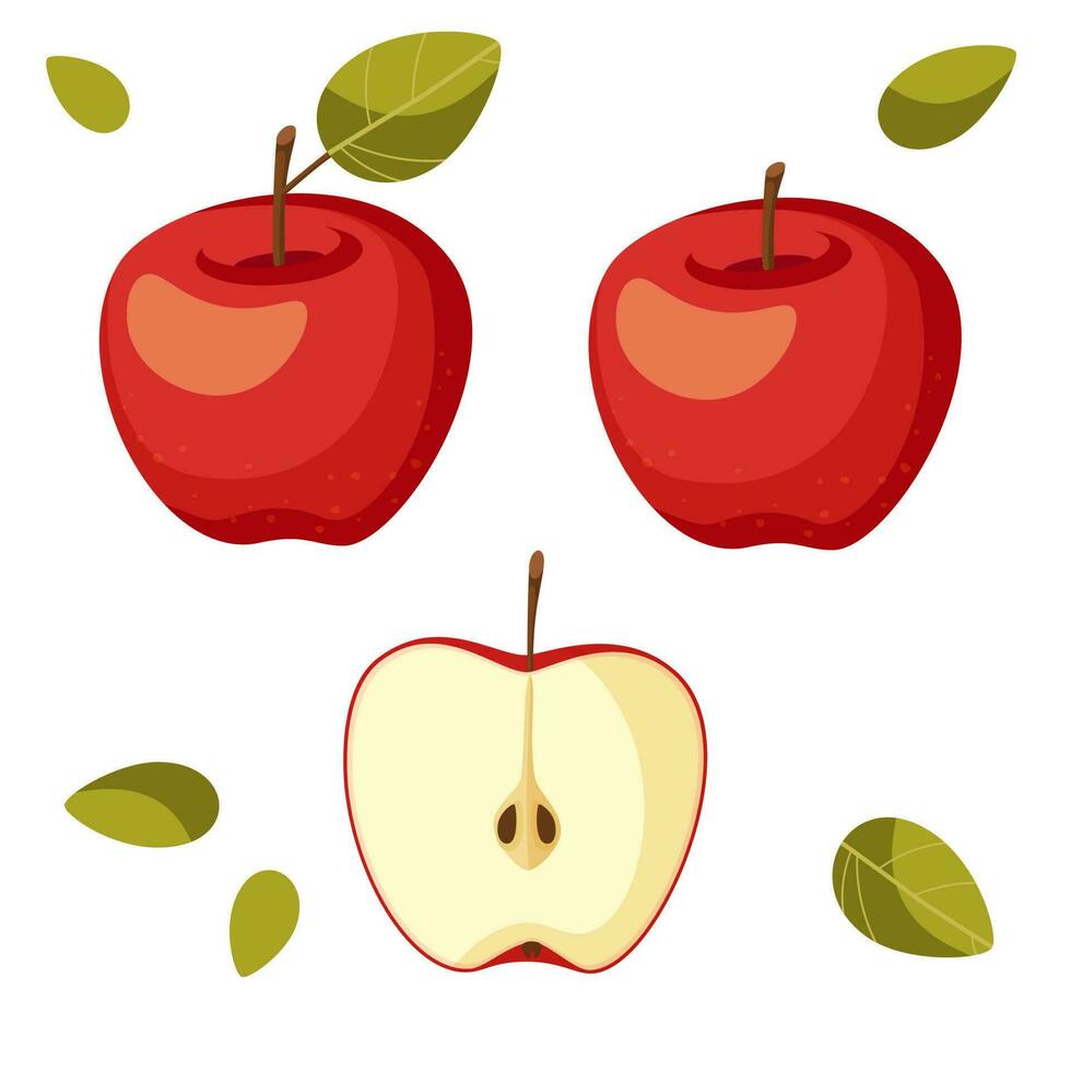 een rood appel Aan een wit achtergrond met een blad, zonder een blad, voor de helft een appel. vector illustratie.