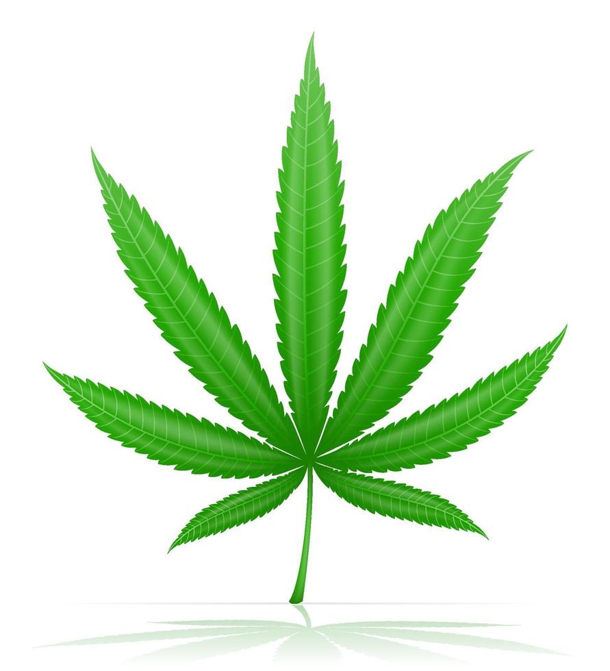 cannabis marihuanablad medicinale drugs legalisatie vectorillustratie geïsoleerd op een witte achtergrond vector