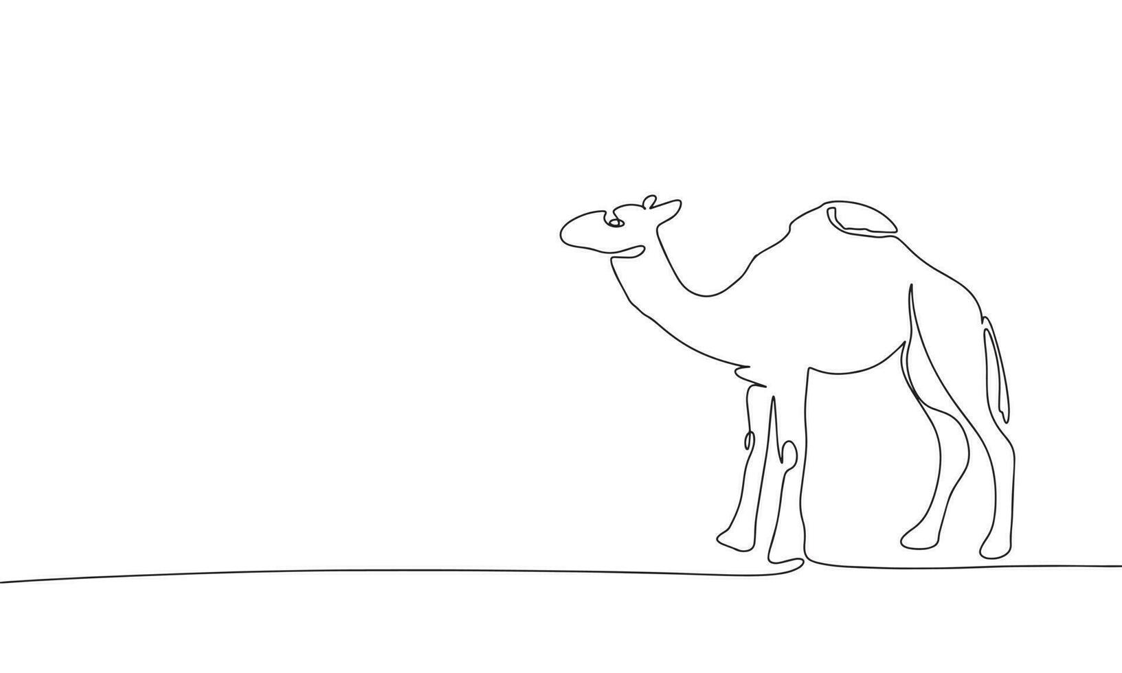 kameel geïsoleerd Aan wit achtergrond. lijn kunst woestijn dier. een lijn doorlopend vector illustratie.