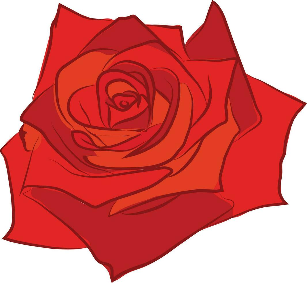 mooi roos bloem geïsoleerd in rood kleur. vector