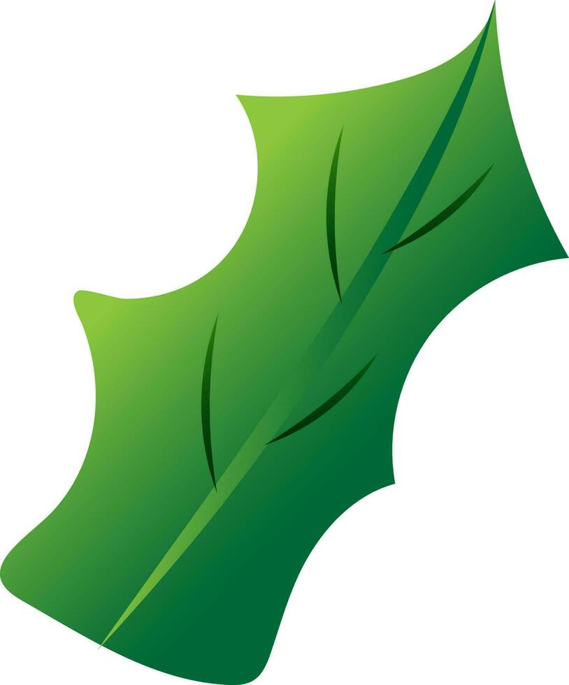 groen blad op witte achtergrond. vector