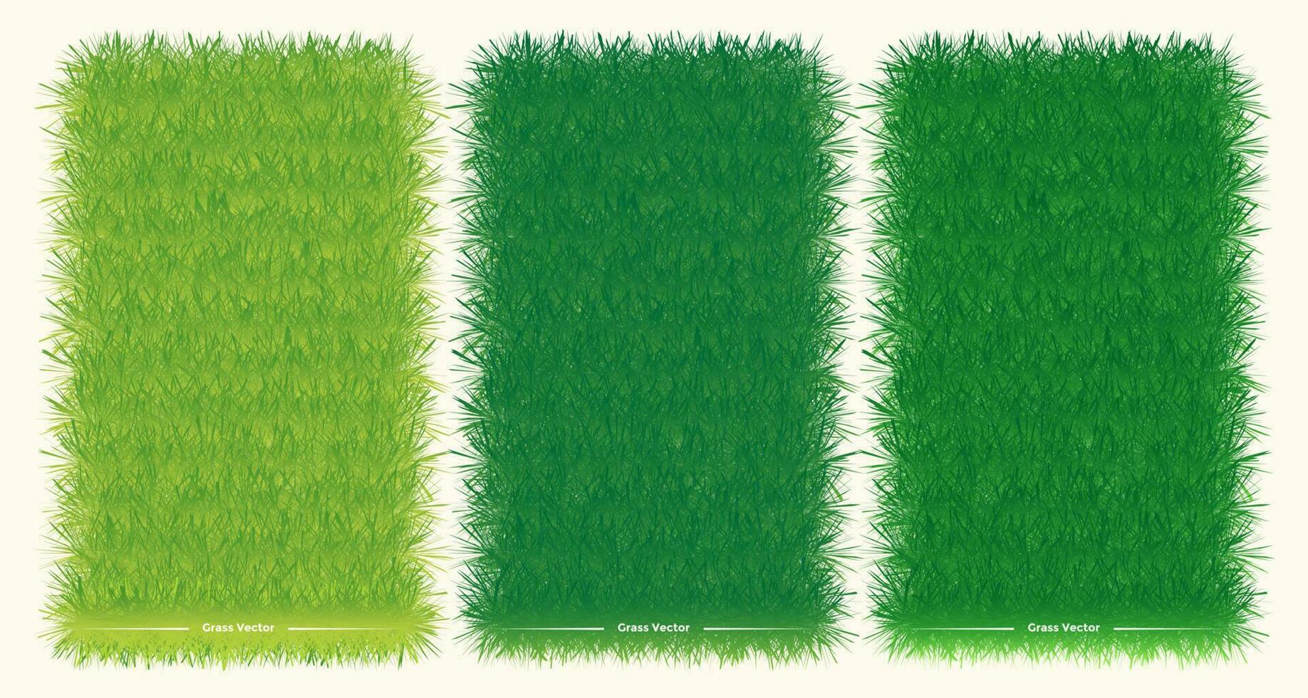 groen gras spandoeken, vector illustratie.