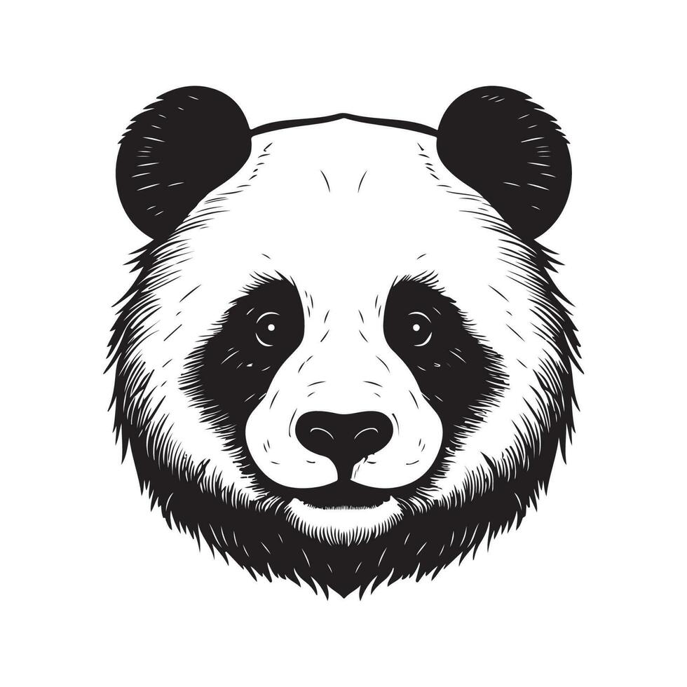 panda, wijnoogst logo lijn kunst concept zwart en wit kleur, hand- getrokken illustratie vector