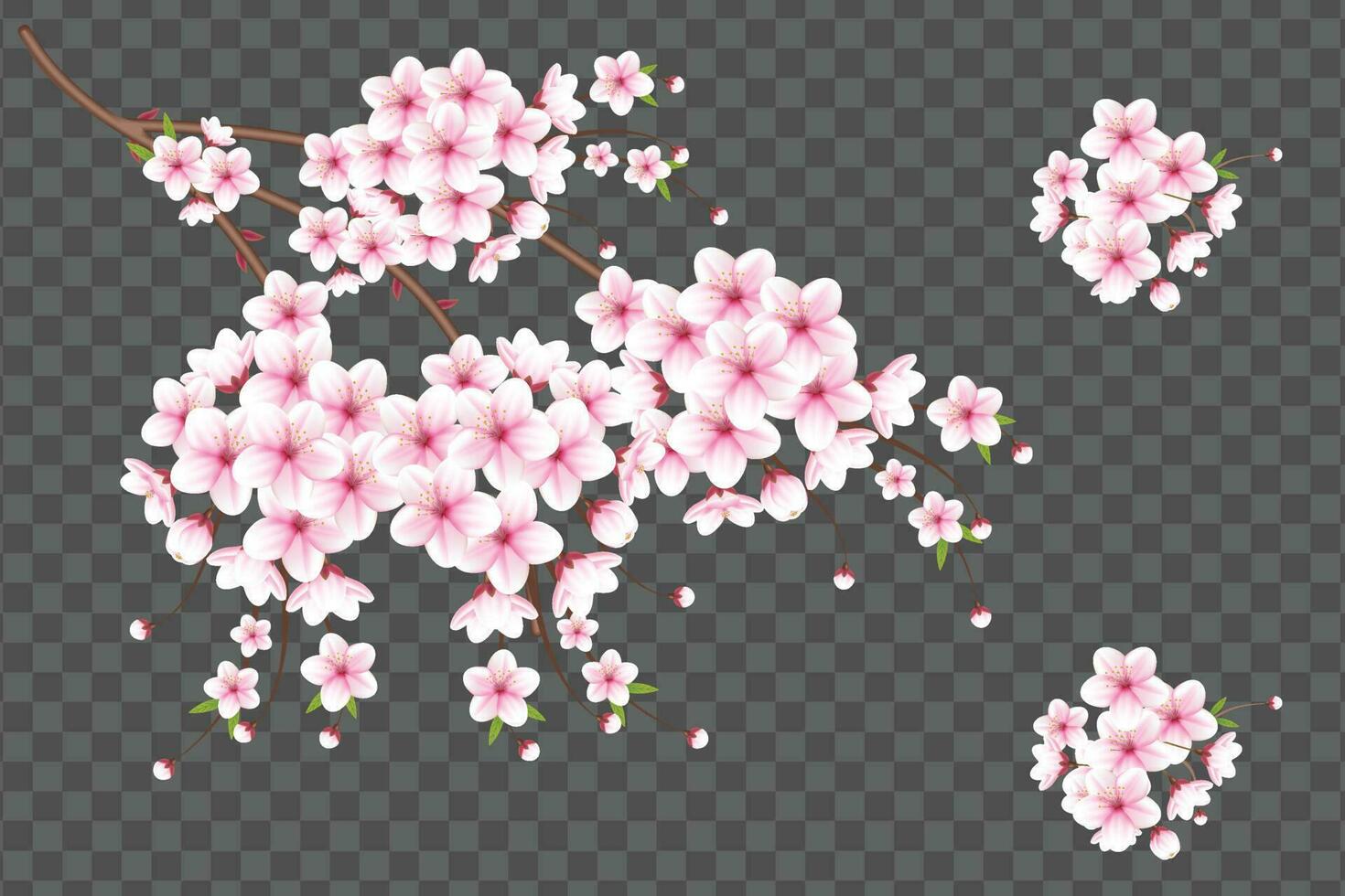 realistisch bloeiend kers bloemen en bloemblaadjes illustratie, kers bloesem vector. roze sakura bloem achtergrond. kers bloesem bloem bloeiend vector