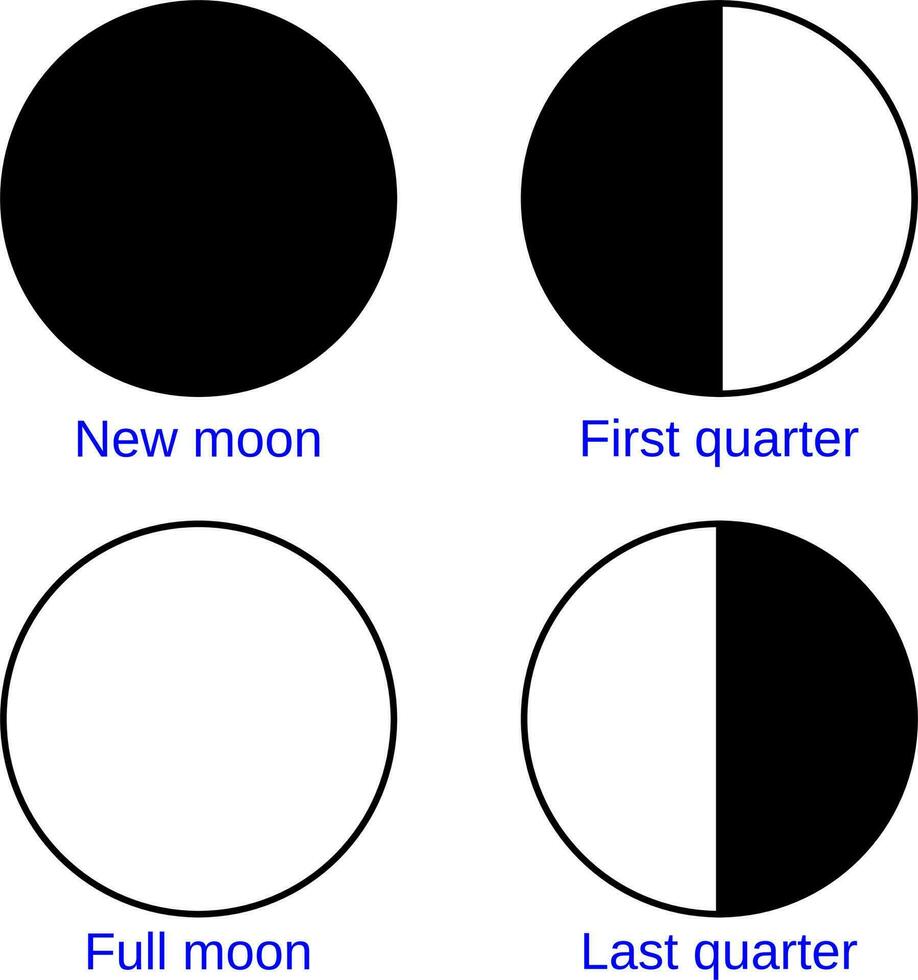 maan fasen, nieuwe, eerste kwartaal, vol, laatste kwartaal vector
