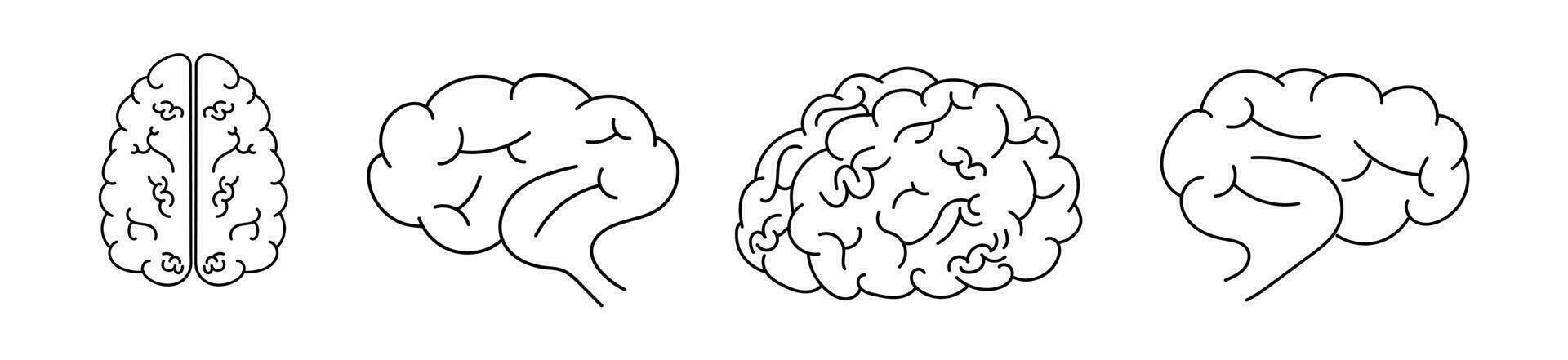 menselijk hersenen icoon gedetailleerd schets vector