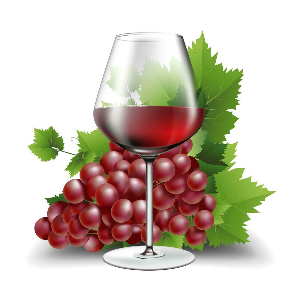 3d realistisch vector illustratie. wijn glas. rood wijn. druiven. geïsoleerd Aan wit.