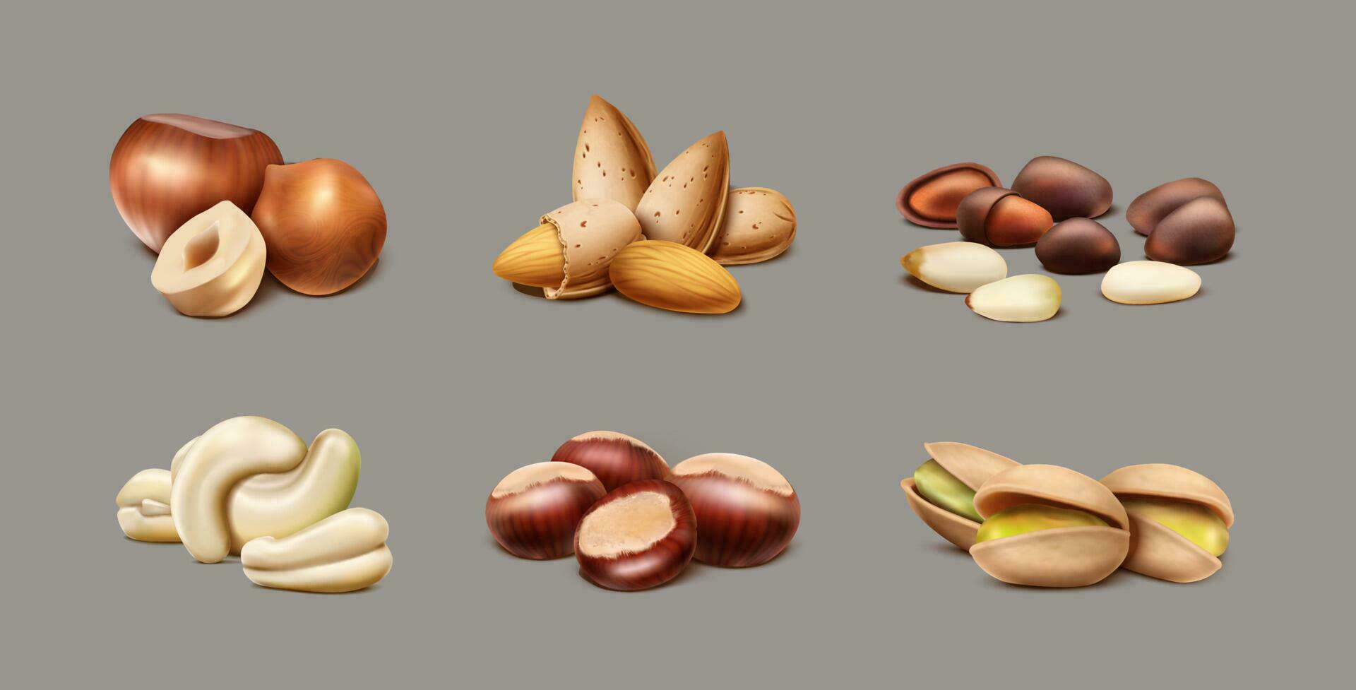 3d realistisch vector verzameling van verschillend types van noten. hazelnoot, amandel, cachou, pijnboom noten, pistache. geïsoleerd.