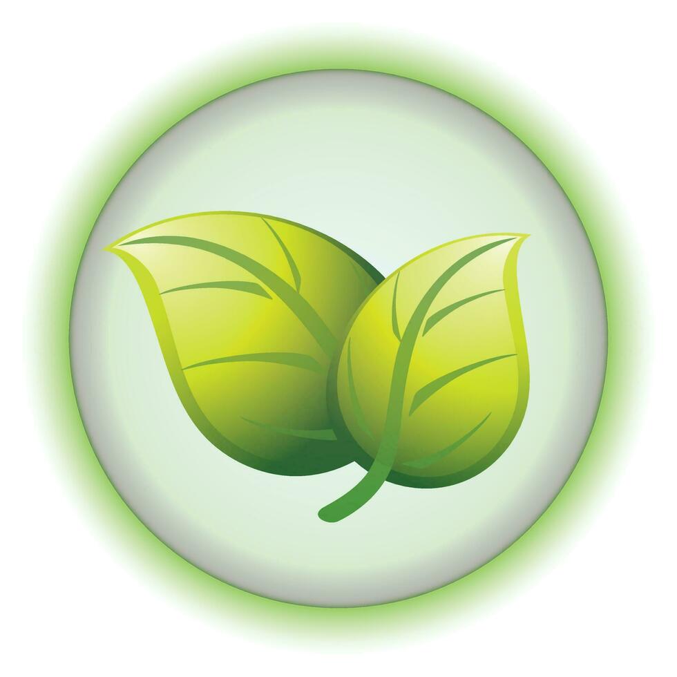 glanzend groen blad in cirkel. vector