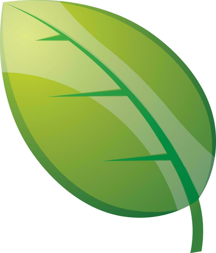 glimmend groen blad Aan wit achtergrond. vector