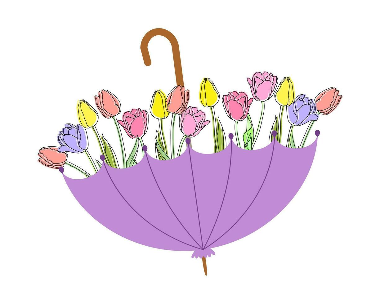 boeket van tulpen in een paraplu. voorjaar illustratie, ansichtkaart, vector