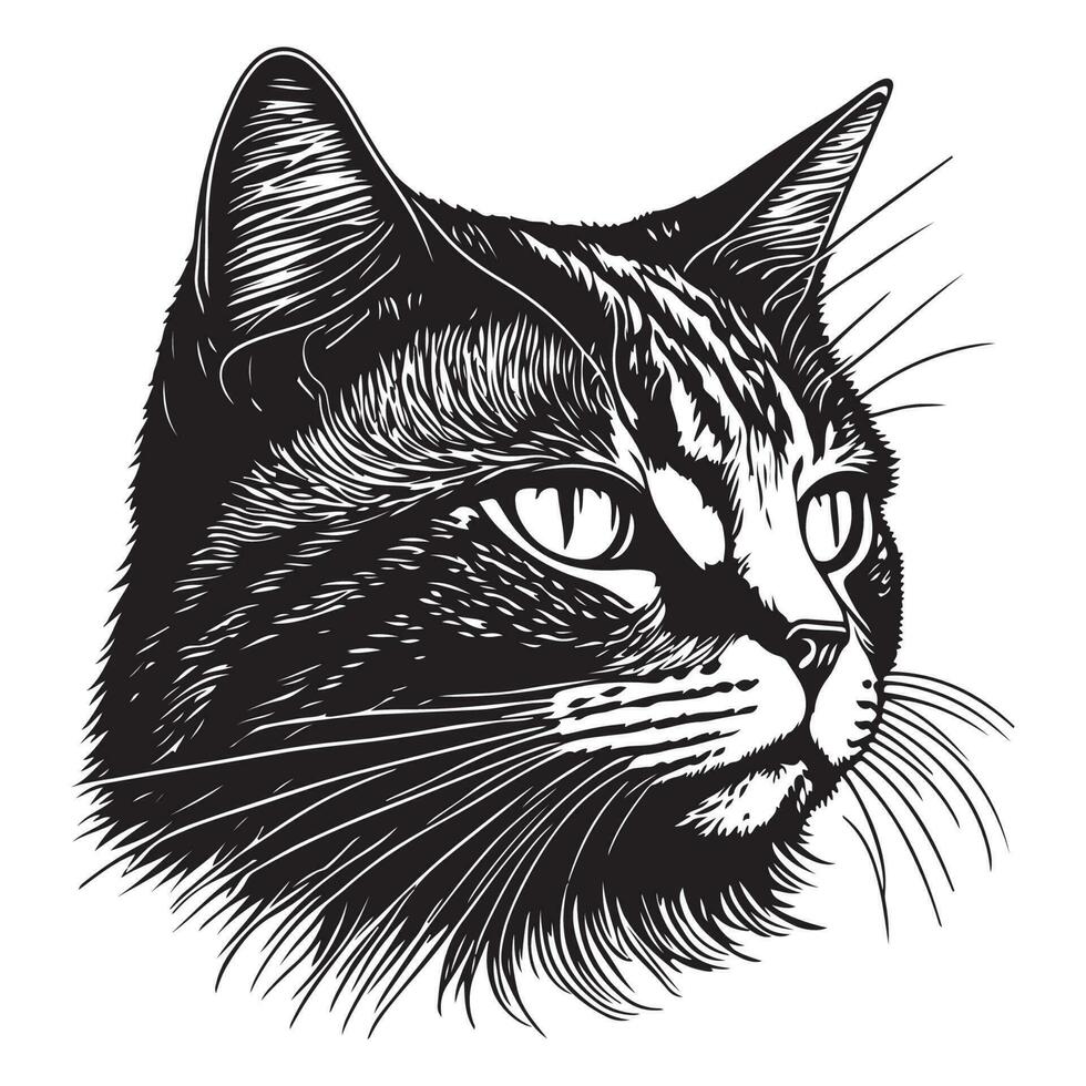 kat gezicht logo, kat gezicht vector, kat gezicht schetsen geïsoleerd Aan wit achtergrond vector
