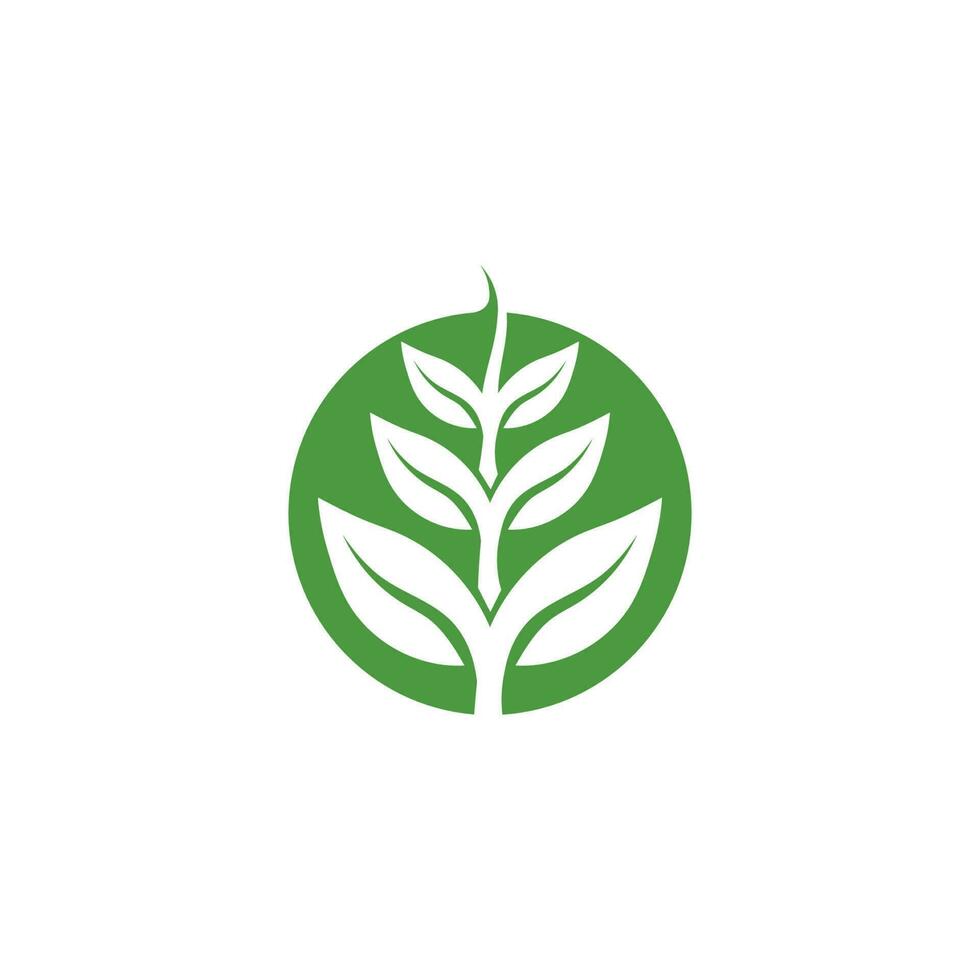 boom blad vector en groen logo ontwerp vriendelijk concept