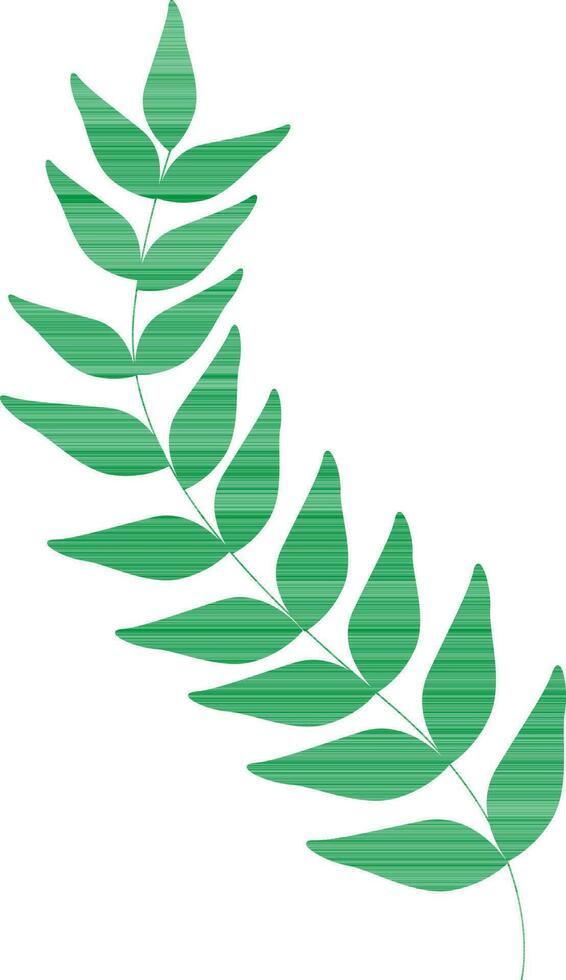 groene bladeren op witte achtergrond. vector