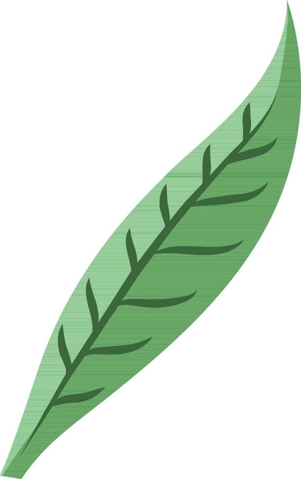 vlak stijl bladeren gemaakt door groen kleur. vector