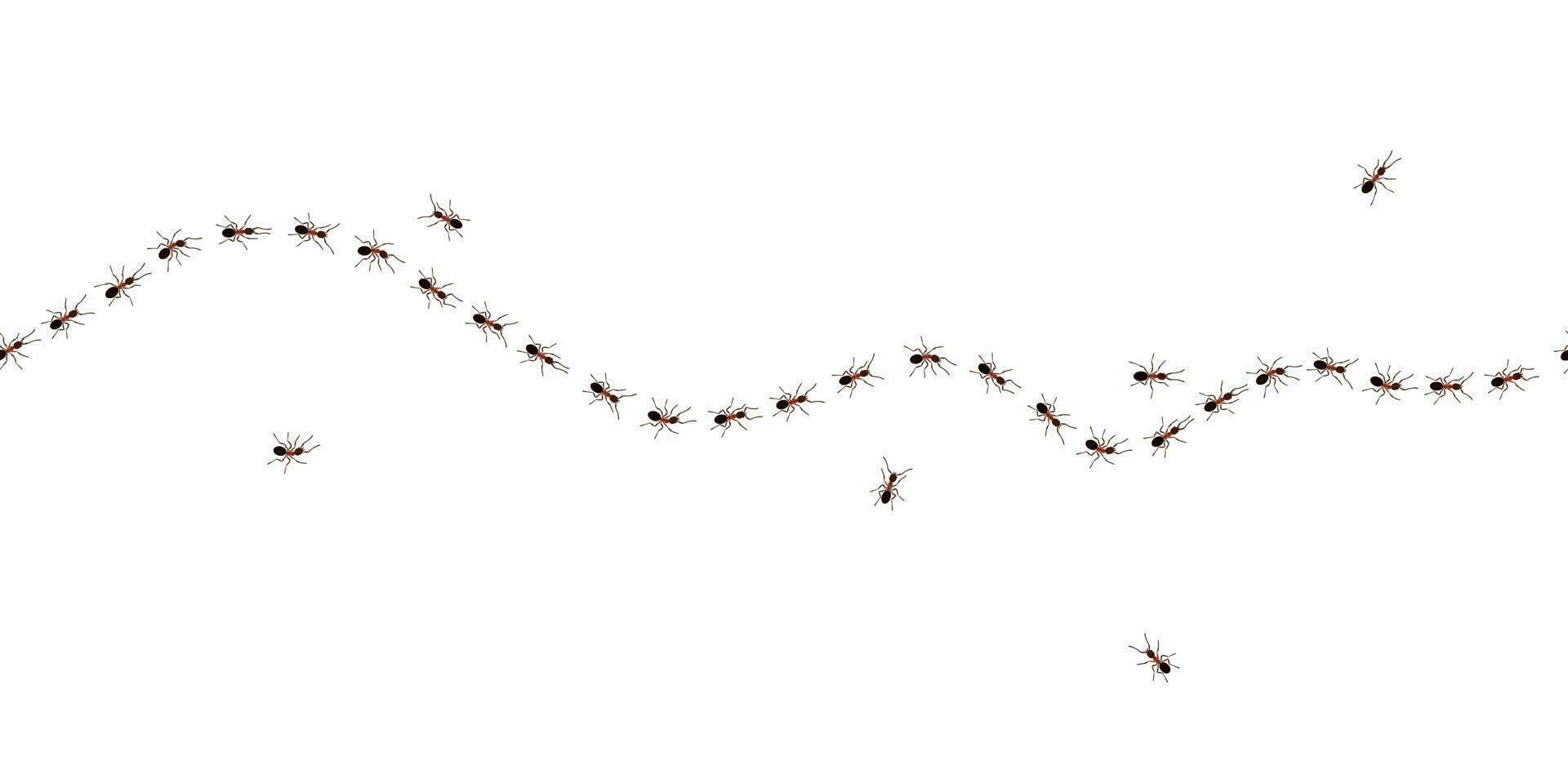 bruin arbeider mieren spoor lijn vlak stijl ontwerp vector illustratie geïsoleerd Aan wit achtergrond.