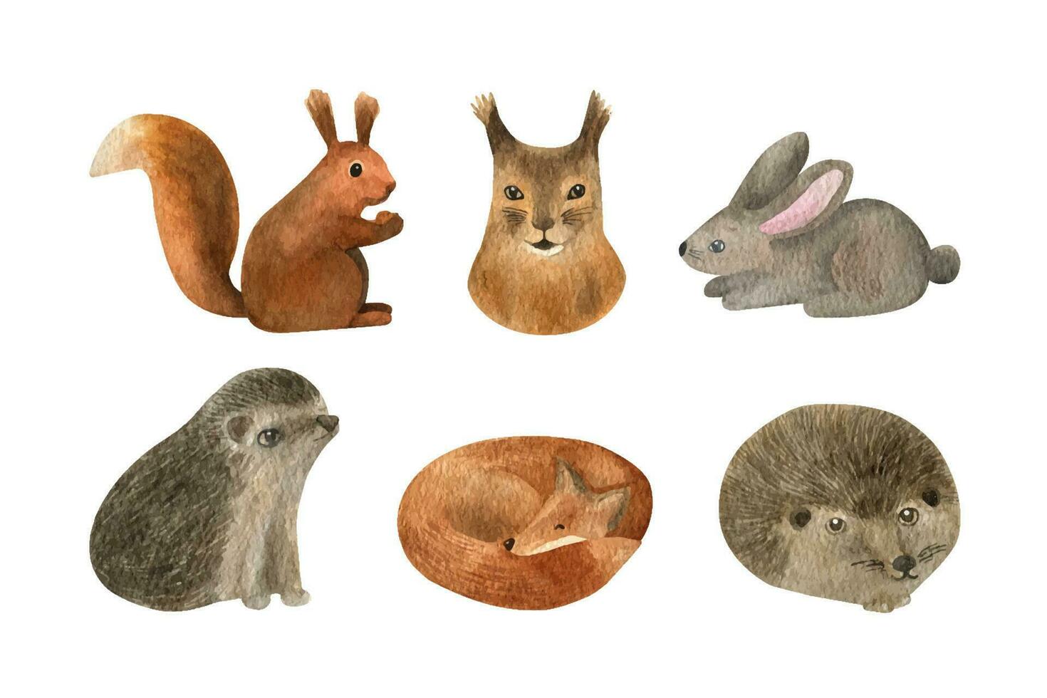 hand- getrokken waterverf egel, haas, eekhoorn, vos. realistisch Woud dieren vector