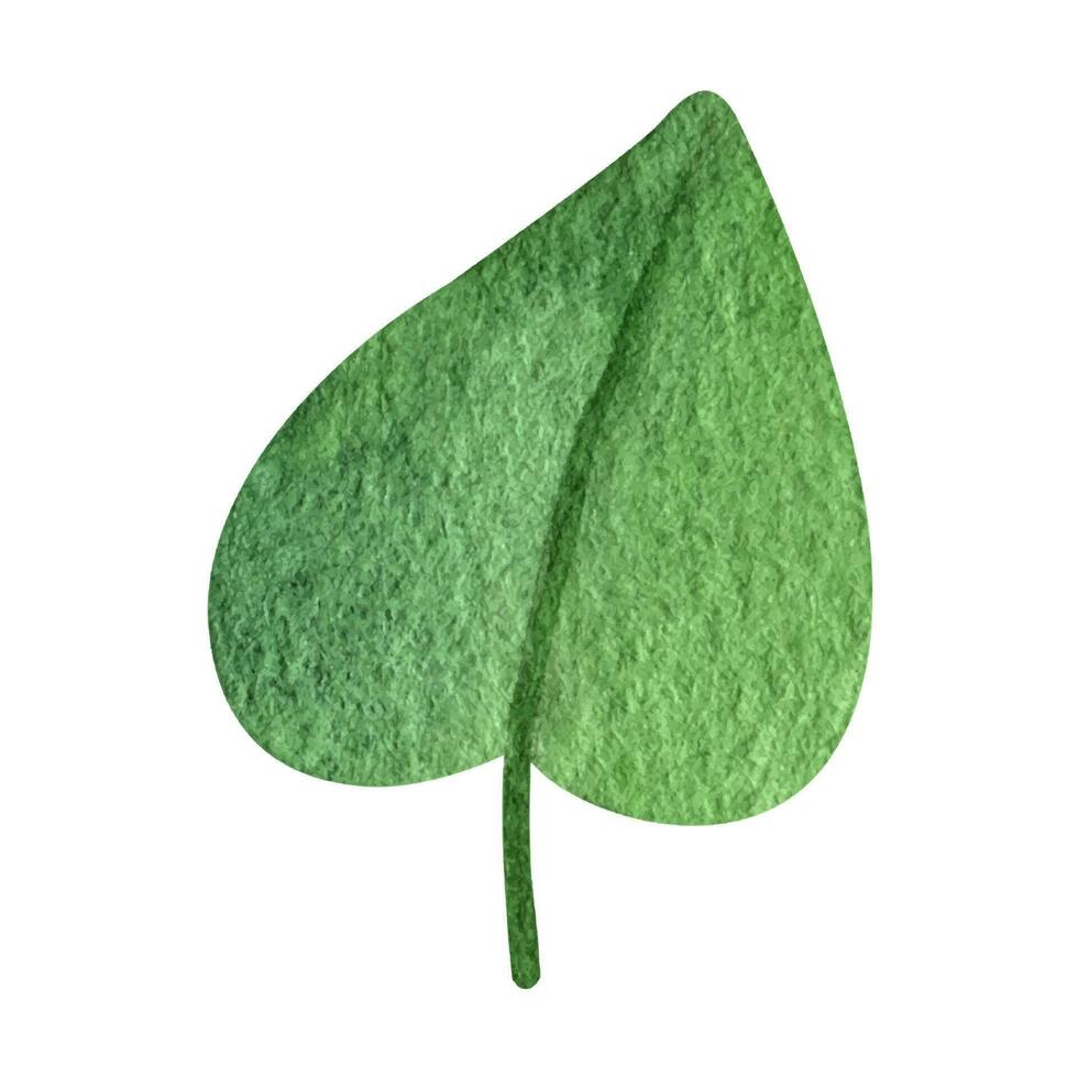 groen Woud bladeren waterverf clip art. illustratie van zomer groen. vector