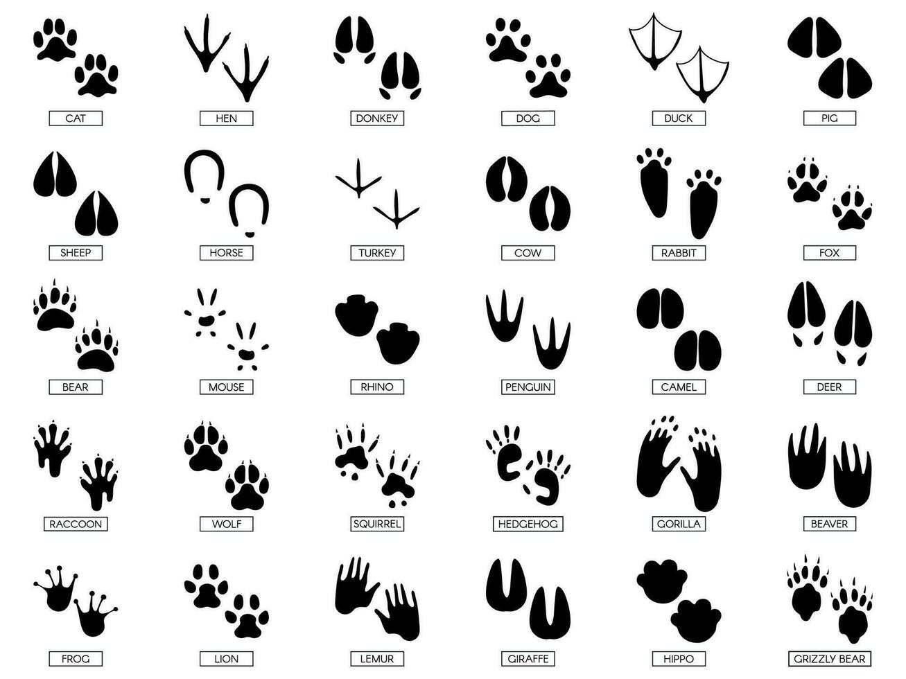 voetafdrukken van dieren. dierlijke voeten silhouet, kikker voetafdruk en huisdieren bezinksel silhouetten prints vector illustratie set