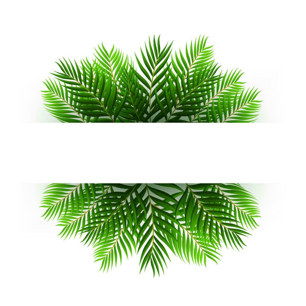 groen kokosnoot bladeren drijvend met tekst ruimte, vector illustratie