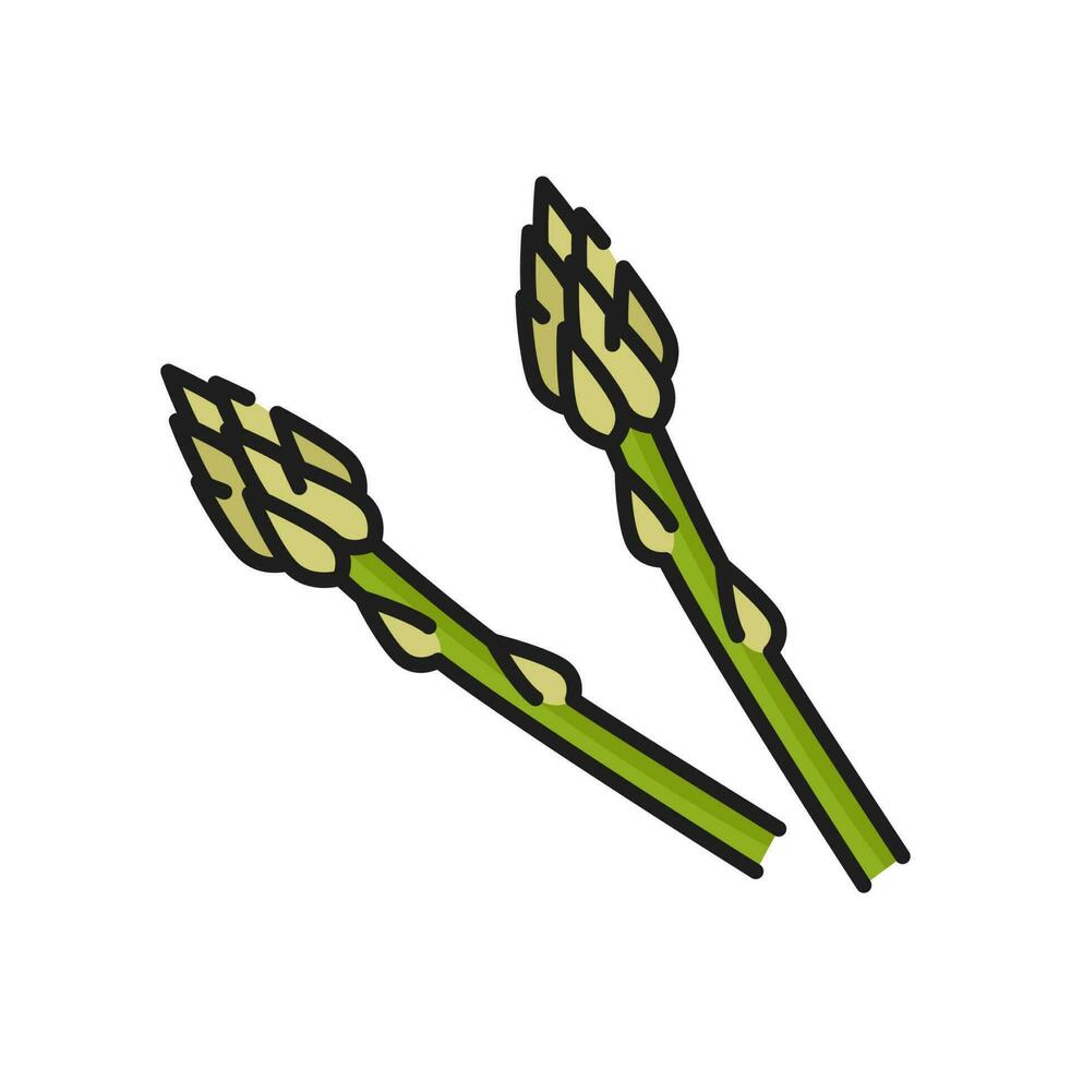 groen asperges kruid, mus gras kleur icoon vector