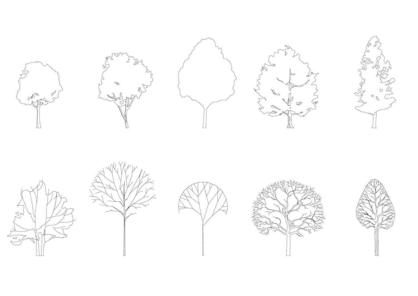 boom lijn tekening, kant visie, grafiek bomen elementen single voorwerp schets minimaal fabriek symbool voor architectuur en landschap ontwerp. vector illustratie in beroerte vullen in wit. Woud, tropisch.