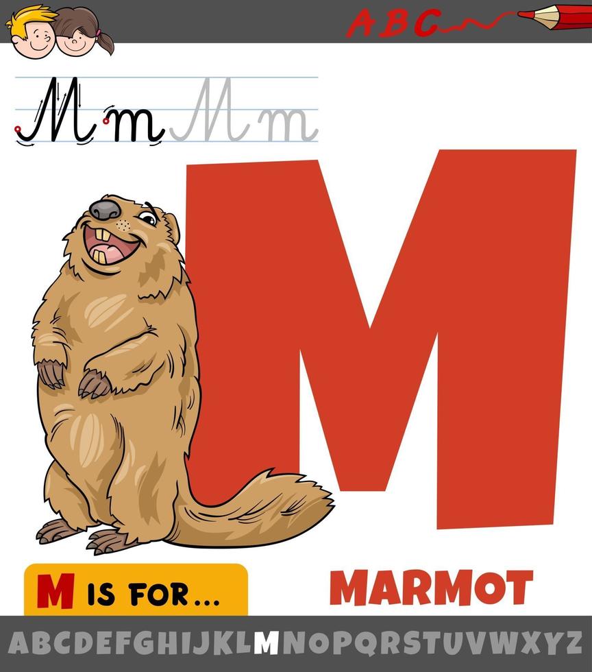 letter m uit alfabet met marmot dierlijk stripfiguur vector