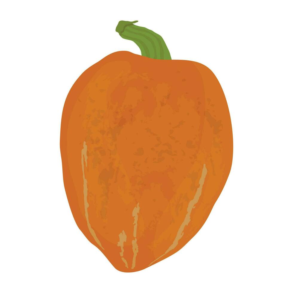 eivormig oranje vorm met groen steeltje, deze is Hubbard squash icoon vector