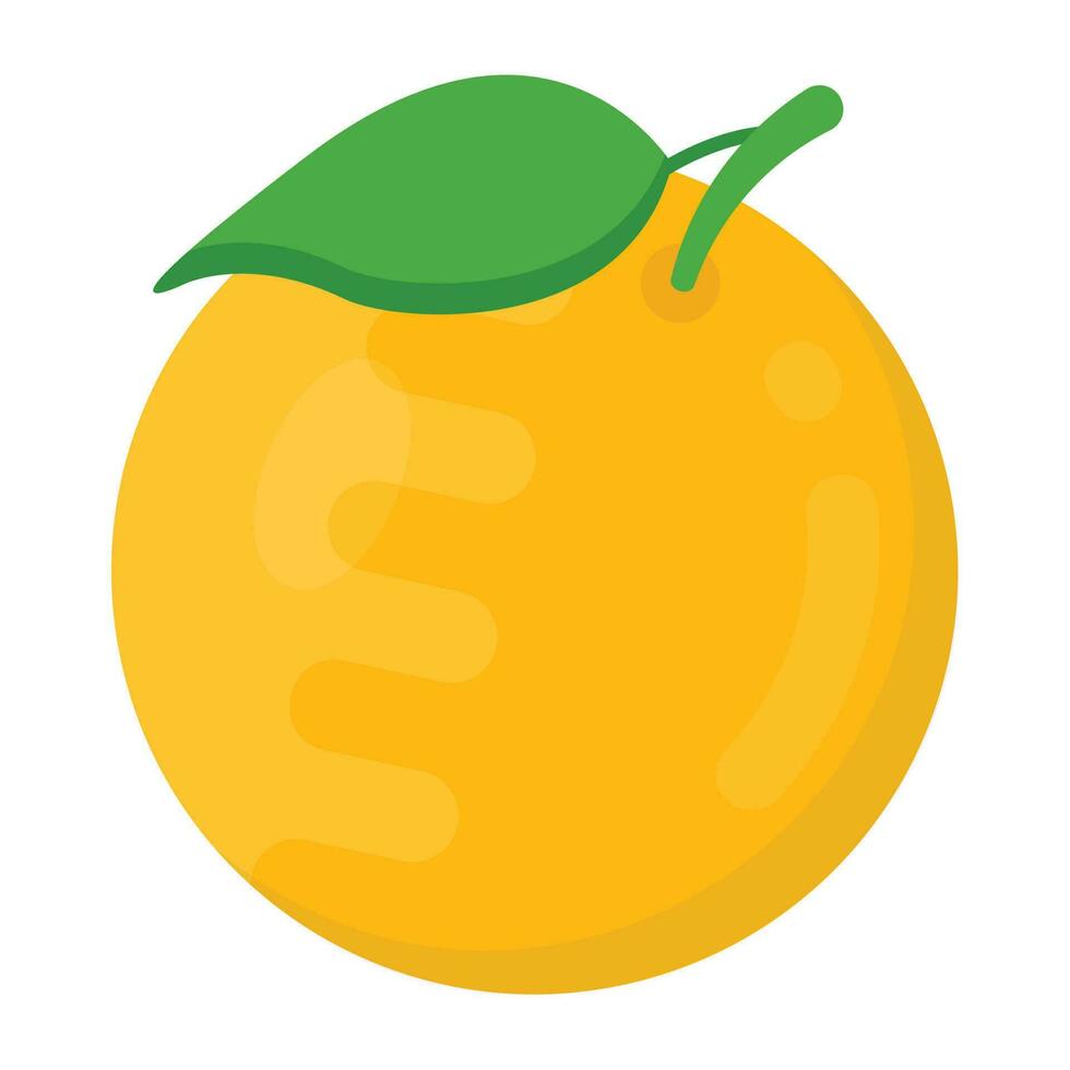 een geel gekleurde citrus fruit met lood Aan het beeltenis vers oranje vector