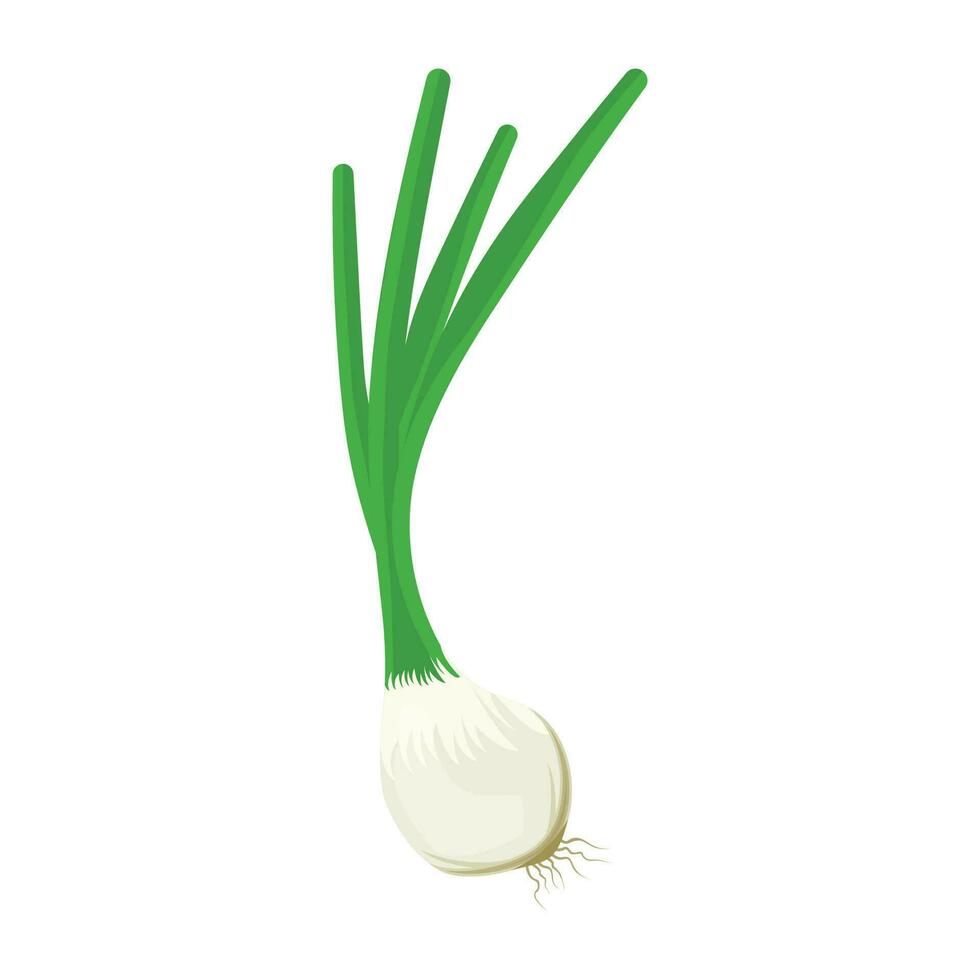 knoflook met lang groen stengels of wortels, deze is lente-ui icoon vector