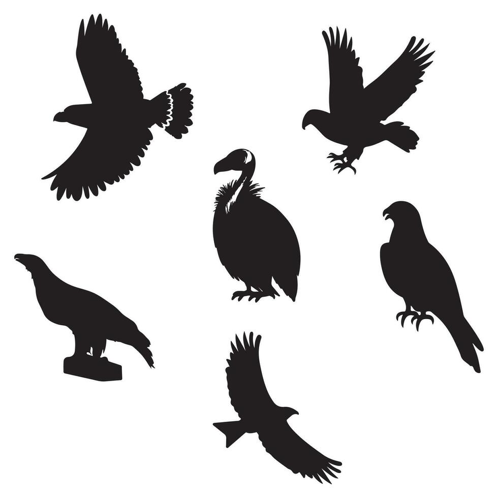 adelaar vogel reeks getrokken silhouet illustraties. vector
