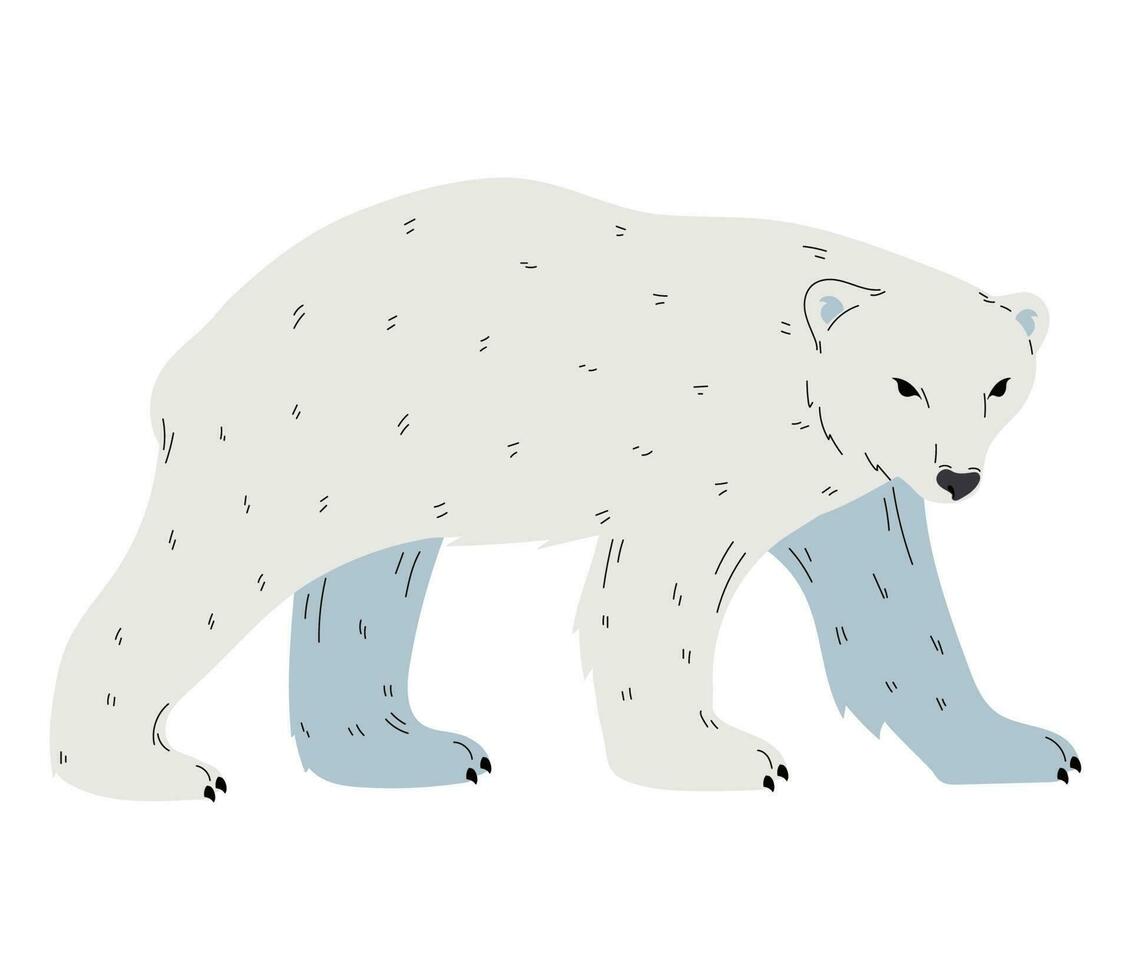 schattig arctisch beer ontwerp over- wit vector