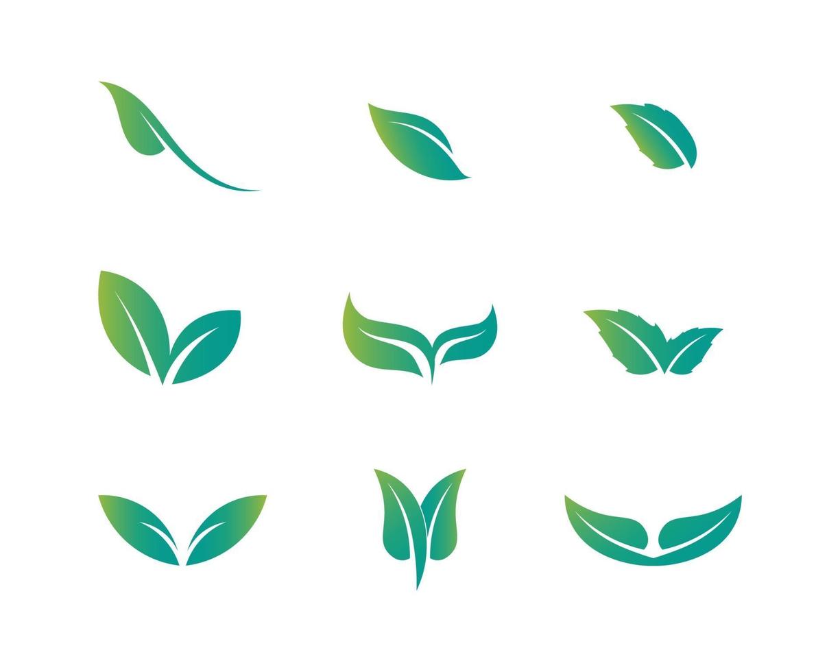 boom blad vector logo ontwerp natuur plant logo voor natuur logo en vector design icoon