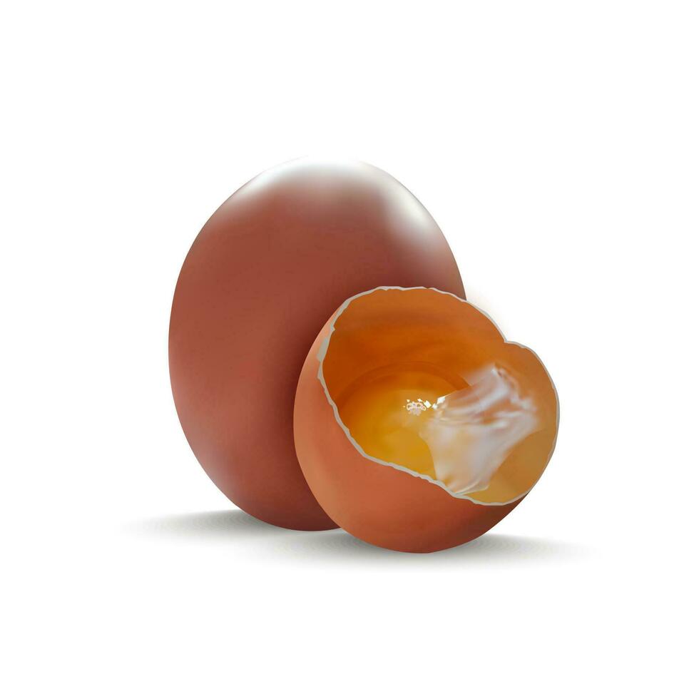 realistisch gedetailleerd 3d kip ei en gebarsten schelp. vector