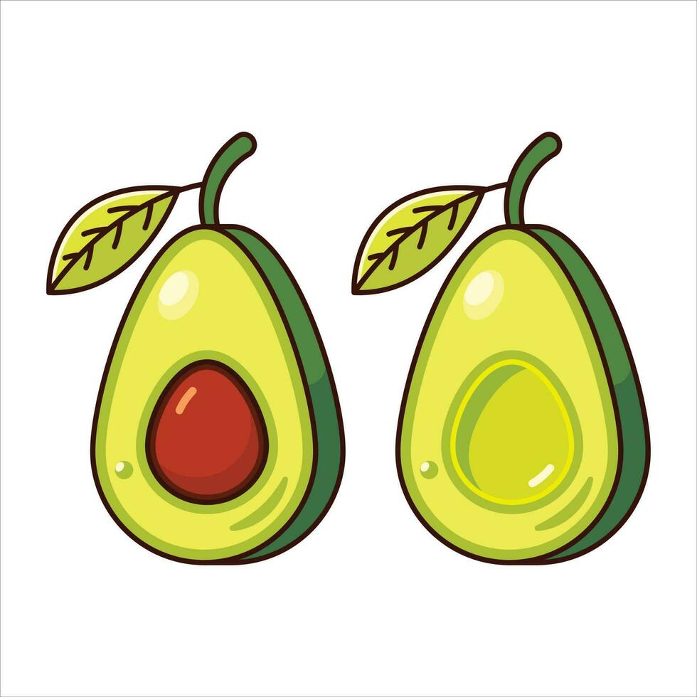 vers vector avocado illustratie Aan wit achtergrond