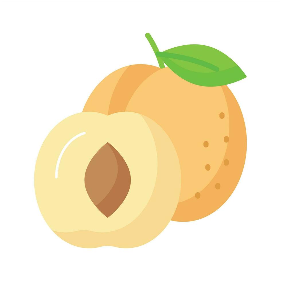 lekker abrikoos vector ontwerp, icoon van gezond fruit in modern stijl