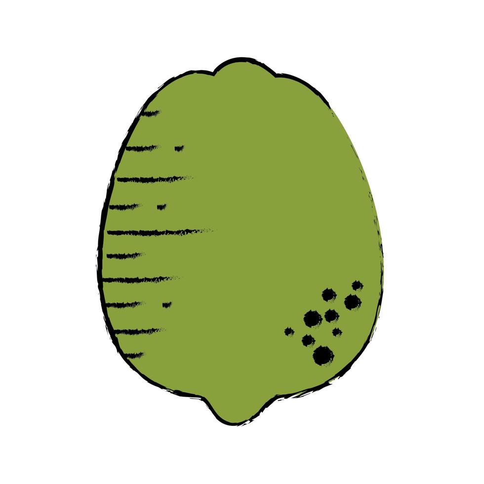 gezond fruitontwerp vector