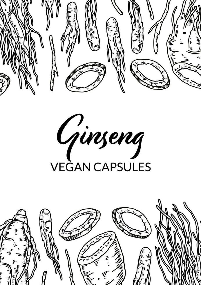 ginseng verticaal ontwerp. hand- getrokken botanisch vector illustratie in schetsen stijl. kan worden gebruikt voor verpakking, label, kenteken. kruiden geneeskunde achtergrond